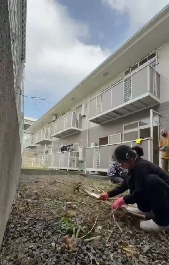 雑草と低木を刈り取って地面が見える状態に戻したアパート敷地